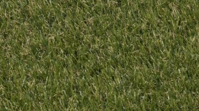 610 grasgrün