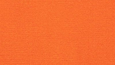 204 orange