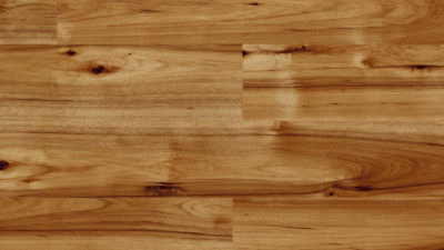 Hickory Bravo