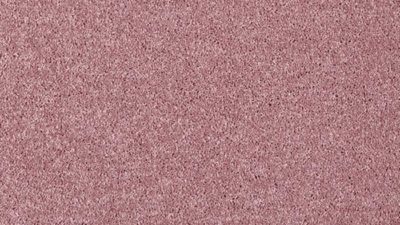 409 patellviolett