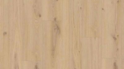 Delicate Oak Almond