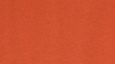 204 orange