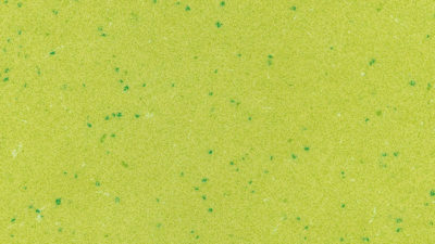 apple green