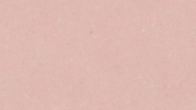powder rose