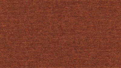 559 Terracotta