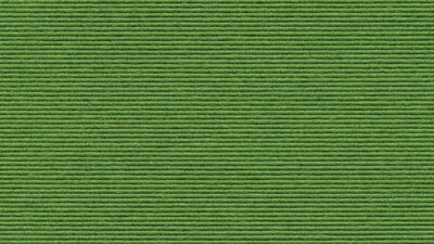 580 Apfel