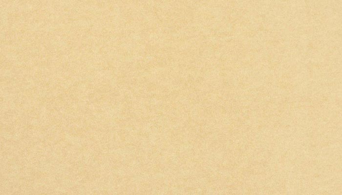101 beige (200)