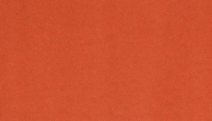 204 orange
