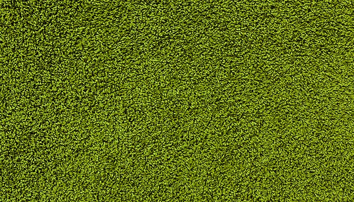 Shag Uni II