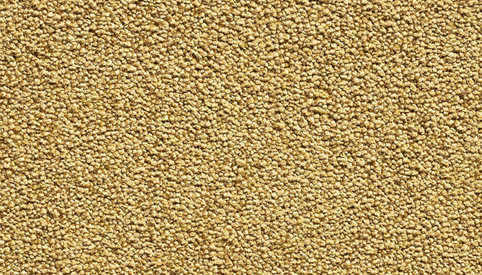 205 gold