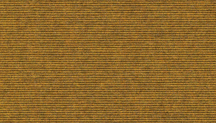 560 Curry