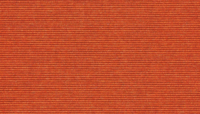 585 Orange
