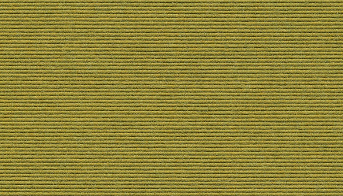 643 Tundra