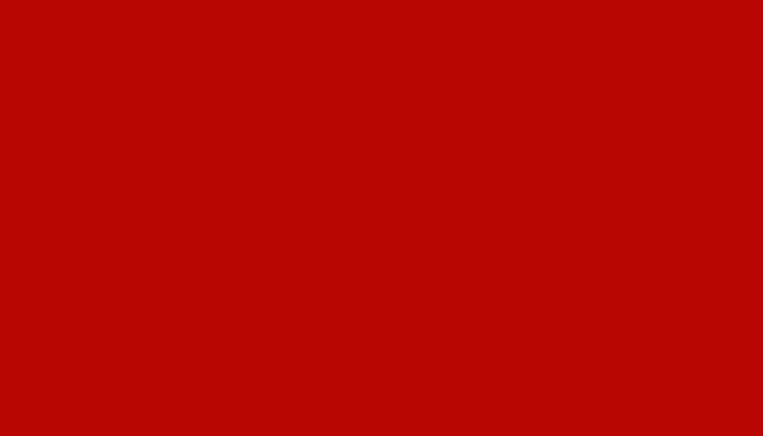 320 rot (400)