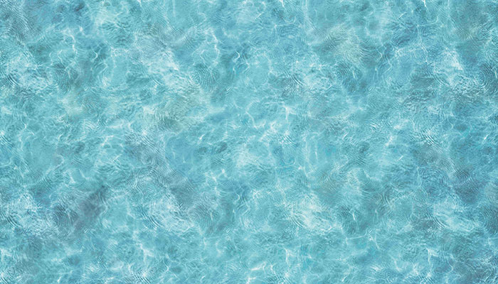 599 wasser
