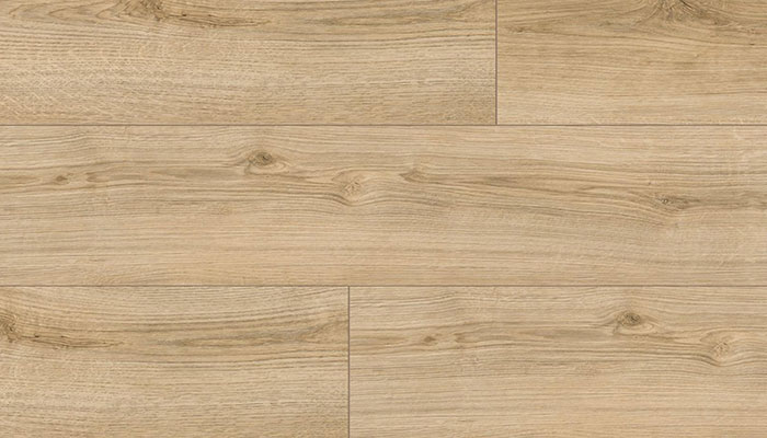 Eiche Evoke Classic