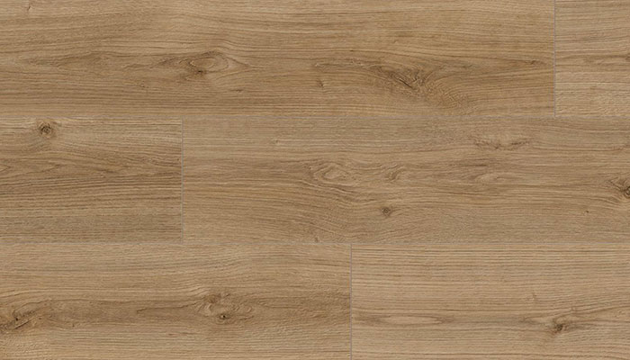Eiche Evoke Trend