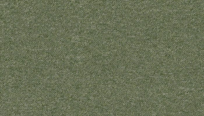 7843