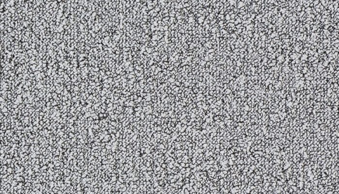 1101