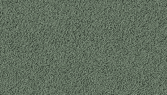 7921 agave
