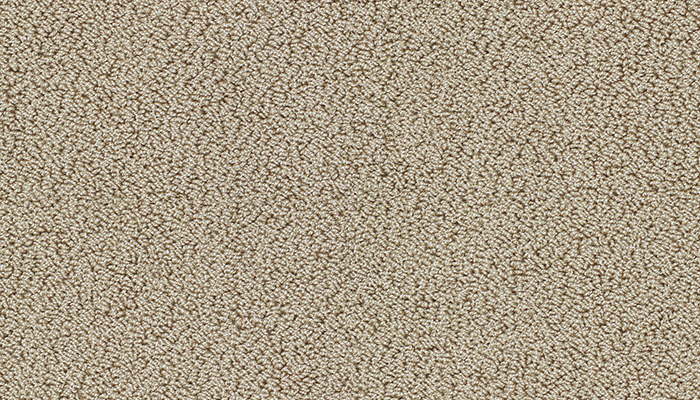 7902 beach