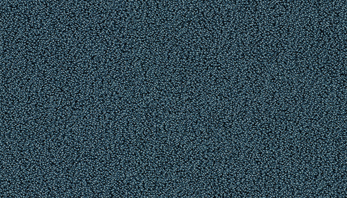 7916 blue jay