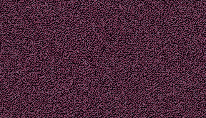 7711 blueberry