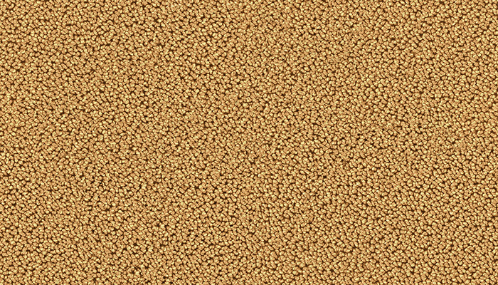 7723 camel