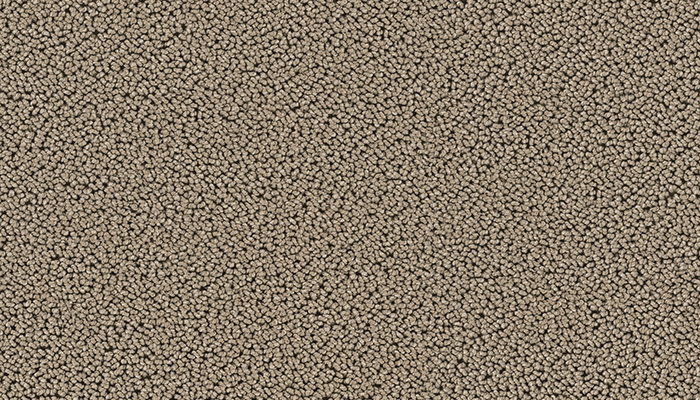 7705 cat