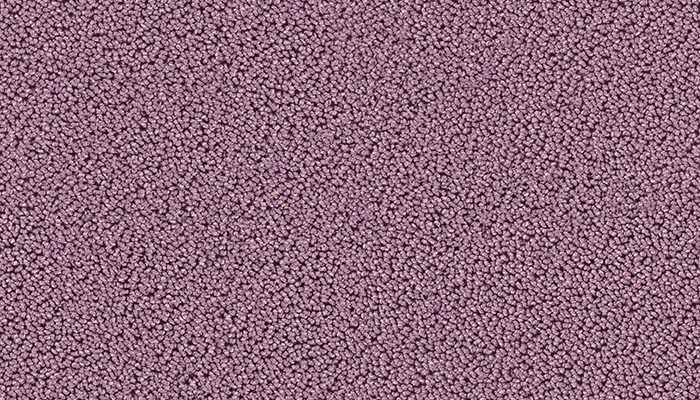 7731 lavendel