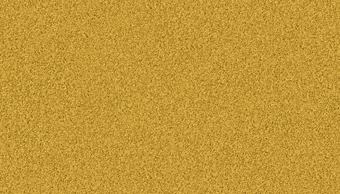 1131 goldregen