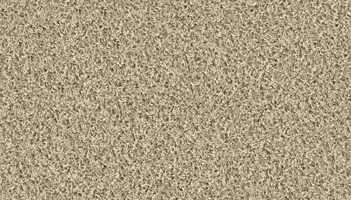 1406 bisquit