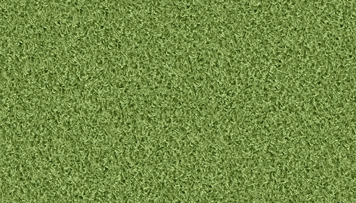 1422 grasshopper