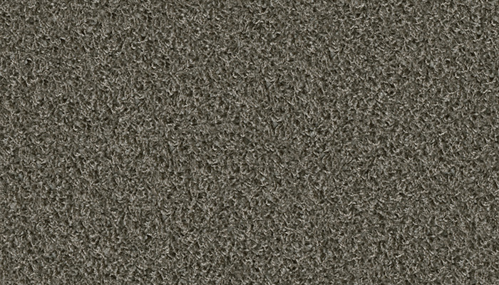 1424 koala
