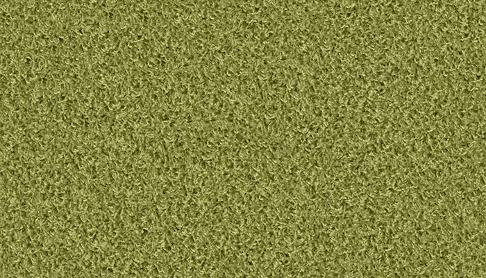 1401 pesto