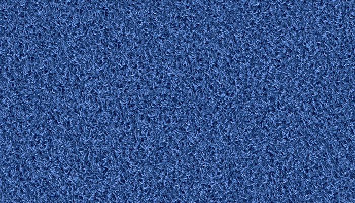 1409 vergißmeinnicht