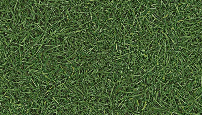 699 gras