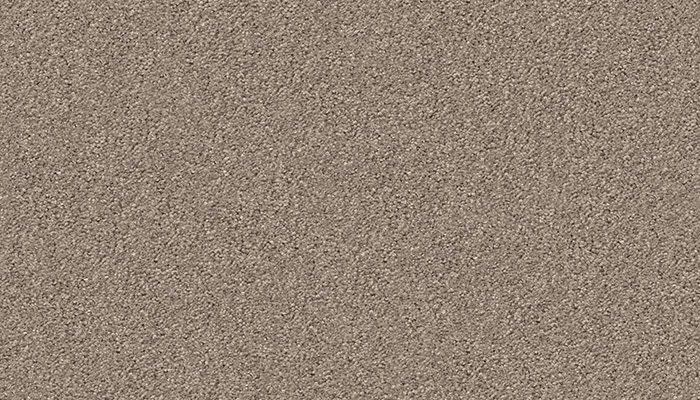 1229 dust