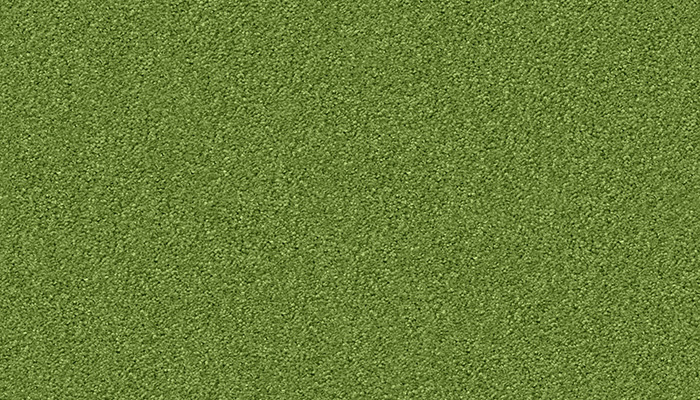1227 kermit