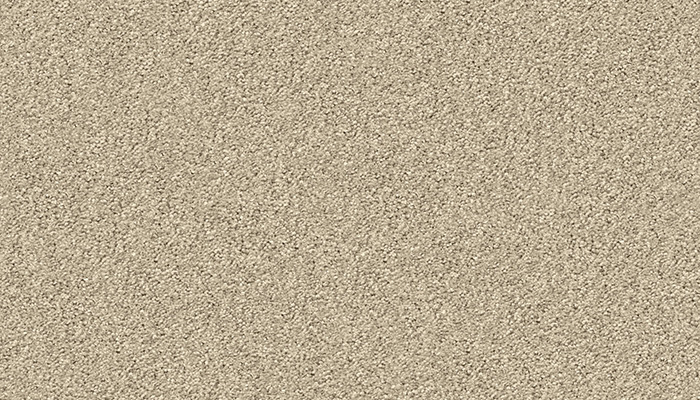 1201 marzipan