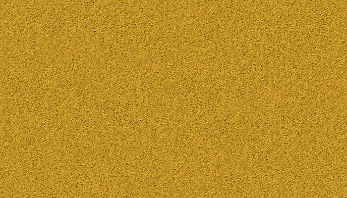 1211 starlight