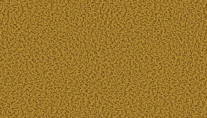 1610 curry