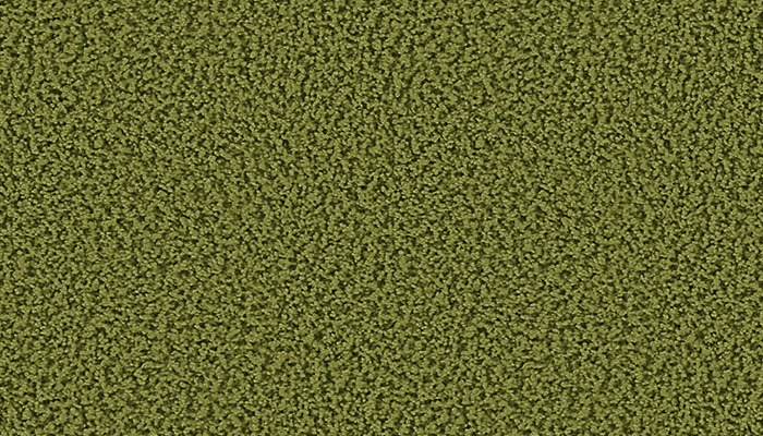 1612 grasshopper