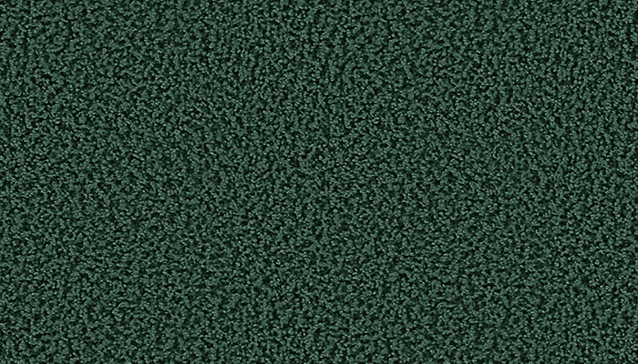 1611 jungle