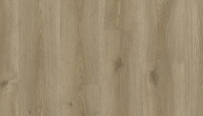 6003 Contemporary Oak NATURAL