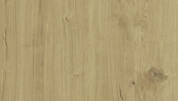 2042 Nomad Oak OAT