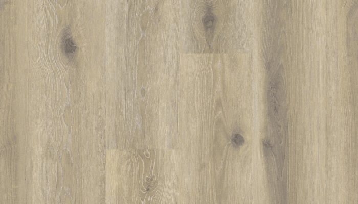 4039 Forest Oak NUTMEG